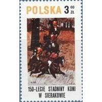 Марка Польша 1980. 150-летие верховой езды в Серакуве. Марка из серии
