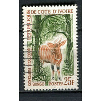 Кот-д 'Ивуар - 1963 - Фауна. Антилопа Бонго 25F - [Mi. 257] - полная серия - 1 марка. Гашеная.  (Лот 90EM)-T7P10