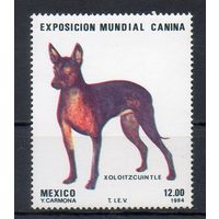 Собака породы Ксолоитцкуинтли Мексика 1984 год серия из 1 марки