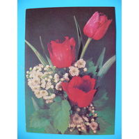 Дергилев И.(фото), Цветы, 1989, чистая.