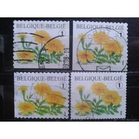 Бельгия 2008 Стандарт, цветы, разновидности по расположению в буклете
