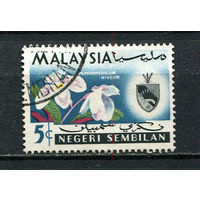 Малайские штаты - Негери-Сембилан - 1965 - Орхидея и герб 5С - [Mi.81] - 1 марка. Гашеная.  (Лот 57FB)-T25P9