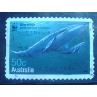 Австралия 2006 Голубые киты, самоклейка WWF