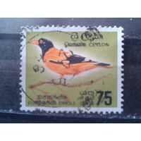 Цейлон 1966 Птица
