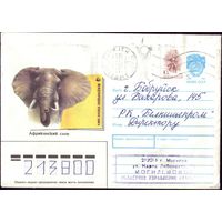 1990 год ХМК А.Исаков Африканский слон