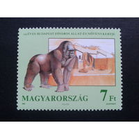Венгрия 1991 горилла