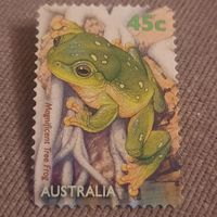 Австралия 1999. Magnificent Tree Frog