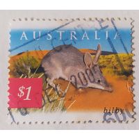 Австралия, фауна