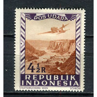 Индонезия (Локальные выпуски) - 1948 - Самолет над каньоном Буффало 4 1/2R - [Mi.85] - 1 марка. MH.  (LOT ET13)-T10P5