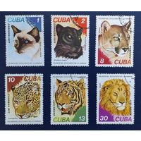 Куба.1977.Семейство кошачьих : пантера, пума, тигр, лев (полная серия 6 марок)