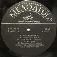 Вадим Мулерман (Налетели вдруг дожди) (7'')