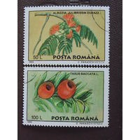 Румыния 1995 г. Цветы.