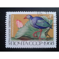 СССР 1968 птица