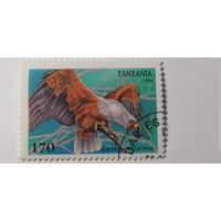 Танзания 1994. Фауна. Птицы.