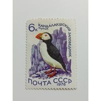 1976 СССР. Водоплавающие птицы