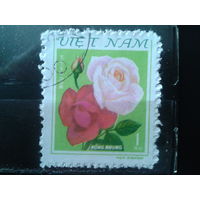 Вьетнам 1980 Розы