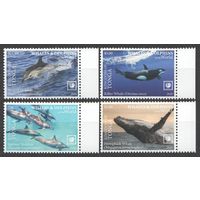 2020 Тонга 2303-2306 Морская фауна - Дельфины, Киты 16,00 евро