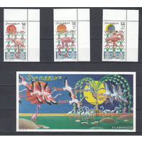 Фауна. Фламинго. Сомали. 1998. 4 марки и 1 блок (полная серия). Michel N 726-728, бл56 (19,0 е).