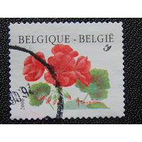 Бельгия 2000 г. Цветы.