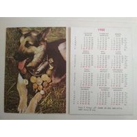 Карманный календарик. Овчарка. 1988 год