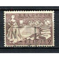 Бельгия - 1955 - 2-я Международная текстильная выставка, Брюссель - [Mi. 1017] - полная серия - 1 марка. Гашеная.  (Лот 33BV)