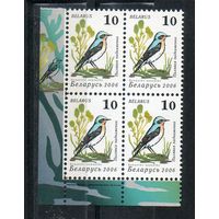 Девятый стандартный выпуск "Птицы сада" Беларусь 2006 год (648) 1 марка в квартблоке (мелованная бумага)