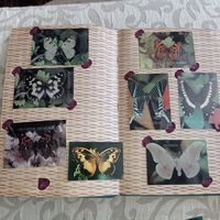Календарик 1991, бабочки.