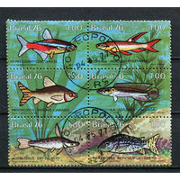 Бразилия - 1976 - Рыбки - сцепка - [Mi. 1545-1550] - полная серия - 6 марок. Гашеные.  (Лот 6BP)