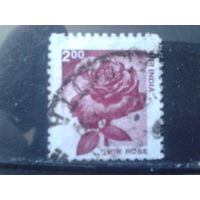 Индия 2002 Стандарт, роза