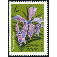 Тропические и субтропические растения СССР 1971 год 1 марка