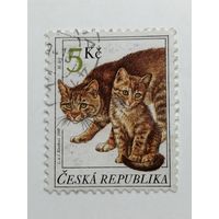 Чехия 1999. Коты.