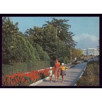 1983 год Анапа Центральная аллея Парка культуры