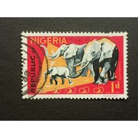 Нигерия 1965. Животные
