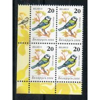 Девятый стандартный выпуск "Птицы сада" Беларусь 2006 год (649) 1 марка в квартблоке (мелованная бумага)