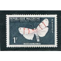 Мадагаскар. Бабочка Бизония