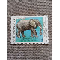 Болгария 1988. Слон