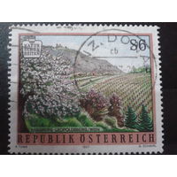 Австрия 1997 Природа, ландшафт Михель-1,0 евро гаш