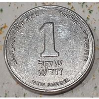 Израиль 1 новый шекель, 2007 (7-2-36)
