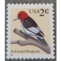 1996 Птицы - рыжий дятел США
