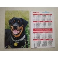 Карманный календарик. Собака. Ротвейлер. Мингорсоюзпечать. 2002 год