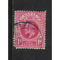 GB Колонии Наталь 1904 EVII Стандарт #78