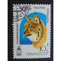 СССР 1989 г. Фауна.