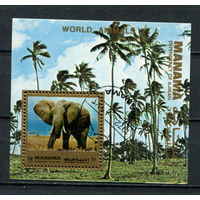 Манама - 1972 - Африканский слон - [Mi. bl. 182] - 1 блок. Гашеный.  (Лот 10BJ)
