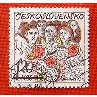 Чехословакия.  ( 1 марка ) 1984 года.