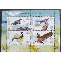2018 Птицы Кыргызстана - Кыргызстан