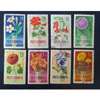 Румыния 1964 Цветы.
