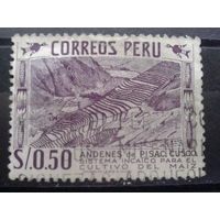 Перу, 1957. Террасы
