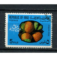 Ирак - 1970 - Фрукты 5F - [Mi.624] - 1 марка. Гашеная.  (LOT X24)