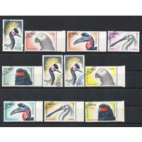 Птицы Гвинея 1962 год 11 марок