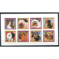 Экваториальная Гвинея - 1978г. - Собаки - полная серия, MNH [Mi А 1427 - А 1434] - 1 малый лист